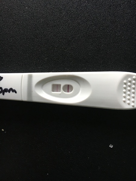 Worried I'm not ovulating
