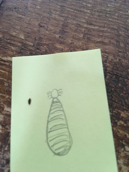 Bed bugs? Lice? Beasties? HELP!!!! (Poor photo attached)