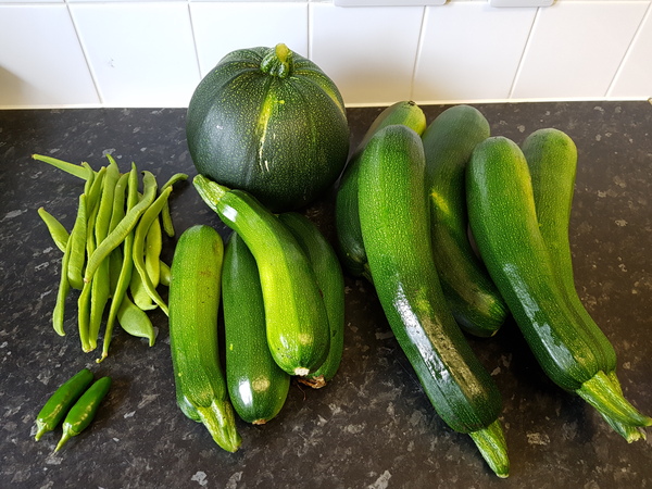 Allotment?Veg Patch Thread 10 - Plotmenters  busy into summer ! and loving James Wong