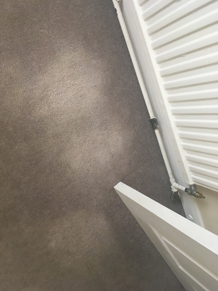 Help me remove these carpet stains! (pic)