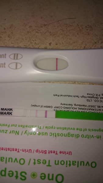 No period or pregnancy symptoms :/??
