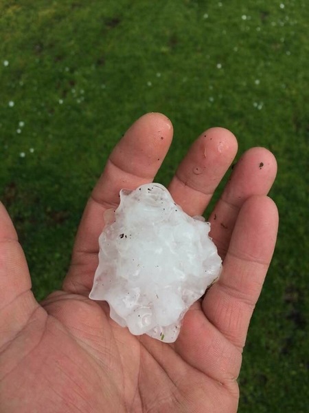 Take a look at this beauty!