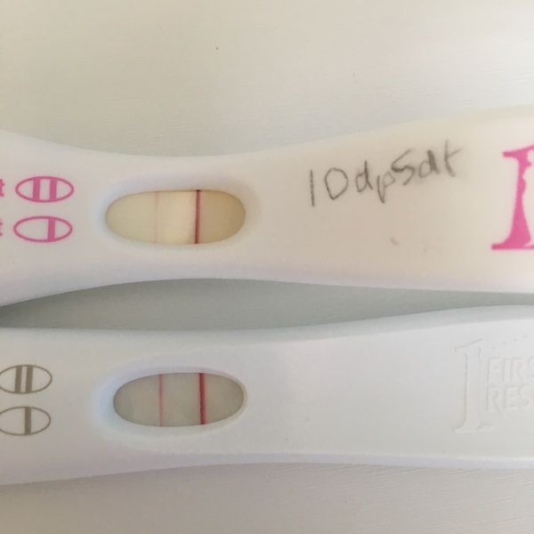 June donor egg cycle...