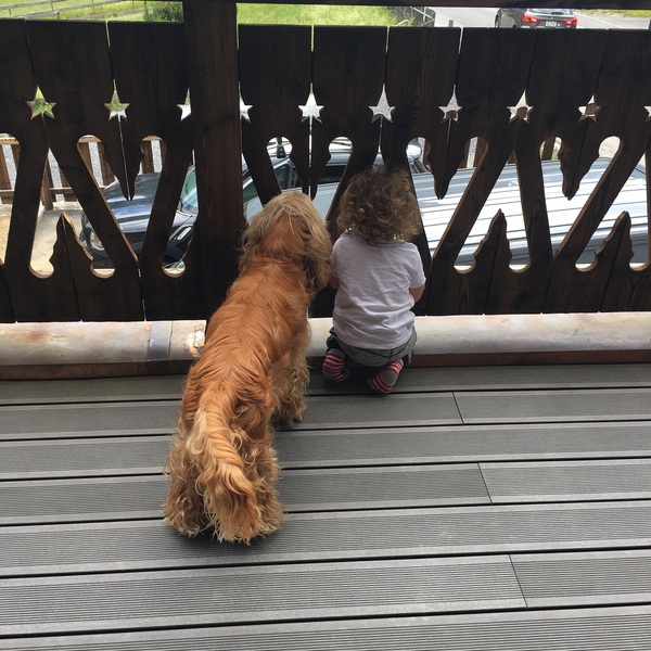 3year old standing at the window nearly everyday. What should I do?