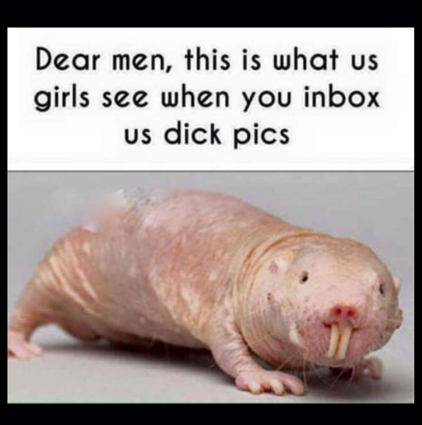 To not get why guys send dick pics?