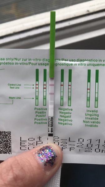 First + OPK after period?
