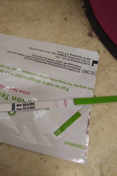 No period or pregnancy symptoms :/??
