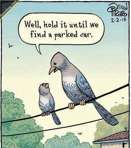 Parking wars - on my own drive !