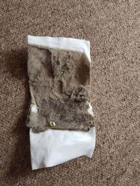 Feedback Thread for the Vorwerk Kobold VK200 Vacuum Cleaner Testers