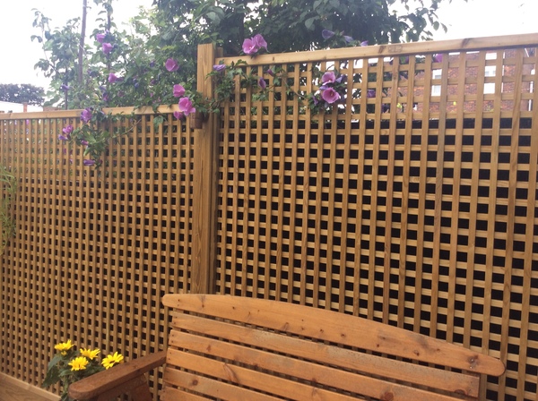 The Landscapers are here, it is better than the arrival of Santa