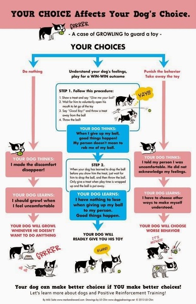 Does anyone fancy a puppy survival thread part 3