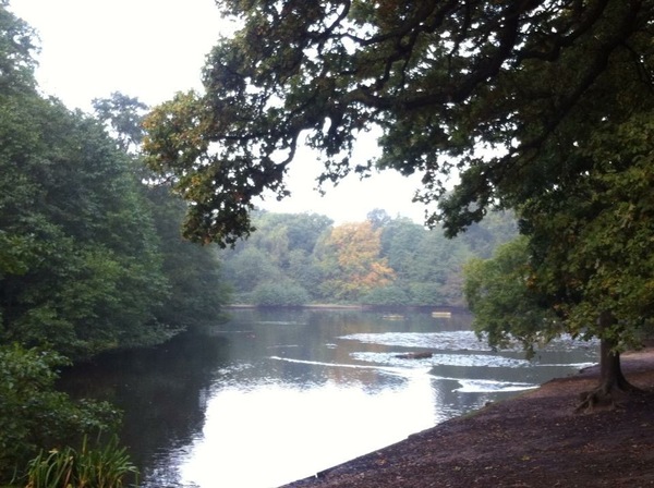 Is London really that bad for children?