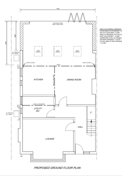 Extension plans opinions please!!