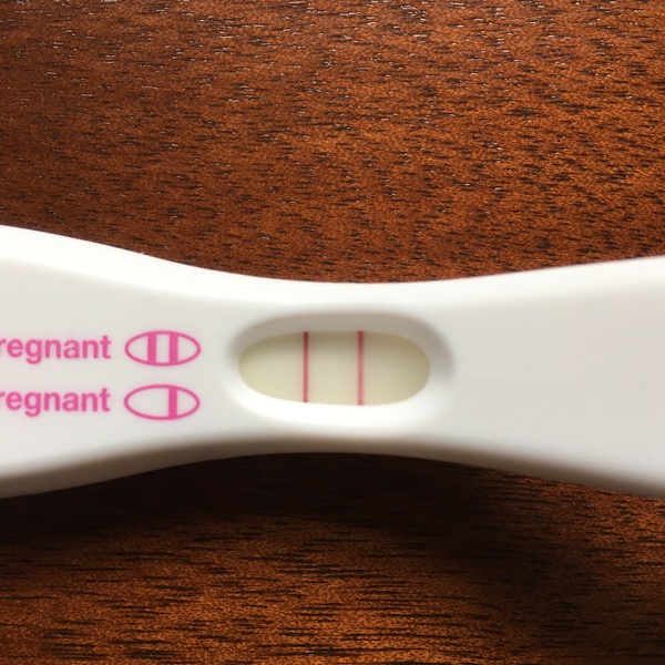 June donor egg cycle...