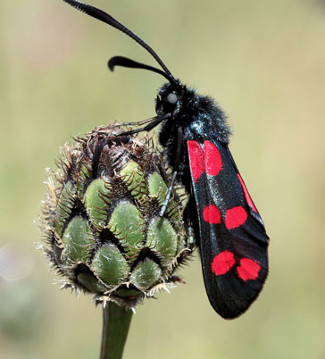 Westminstenders: The 3 Million get their first offer.