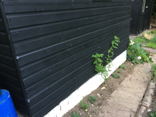 Grey-black fence stain?