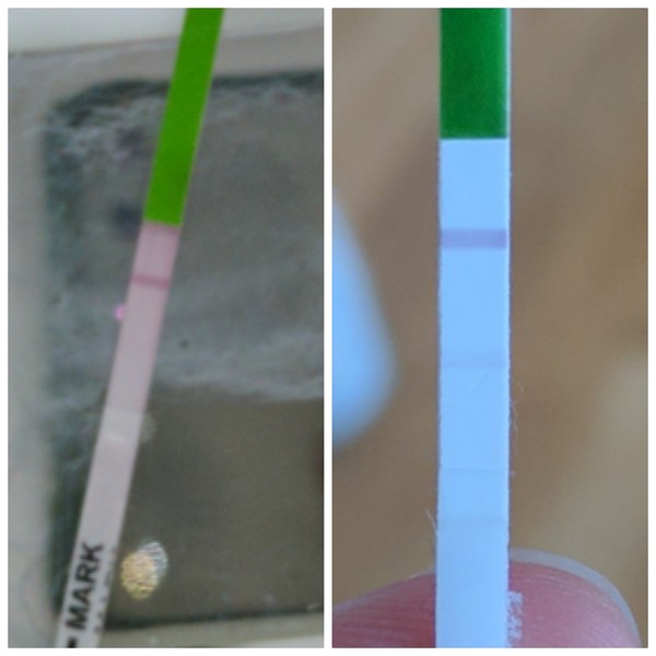 OPK test result help please!