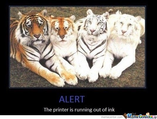 Can we have a funny cat stuff from the web thread?