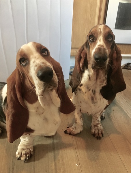 Week 8 - Summer Low Carb Bootcamp - two months almost done ...