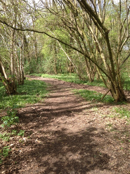 Photos taken on your cycle.