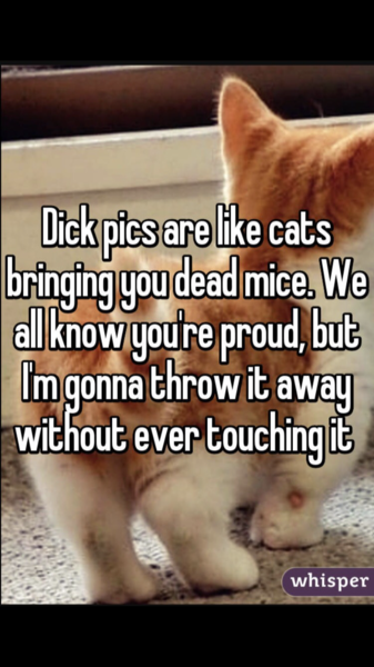 To not get why guys send dick pics?