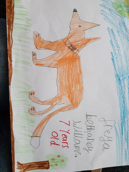 Child aged 5-11 who loves drawing? Enter the BIC® competition