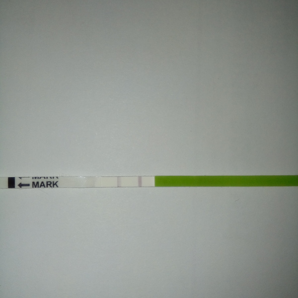 Ok so is this a positive opk??
