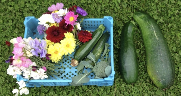 Allotment?Veg Patch Thread 10 - Plotmenters  busy into summer ! and loving James Wong