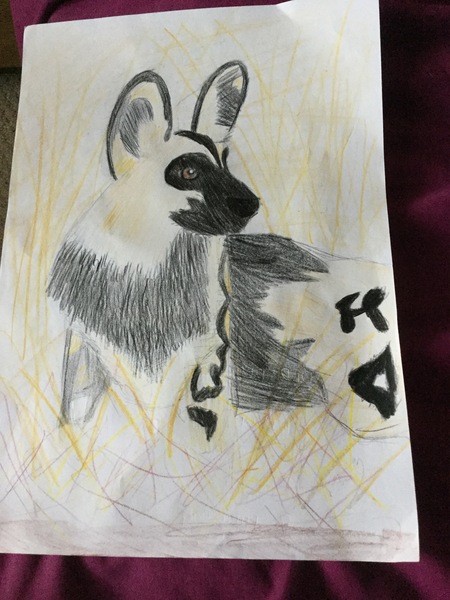 Child aged 5-11 who loves drawing? Enter the BIC® competition