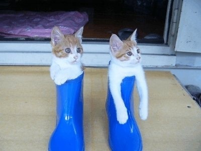 Swagger Inn 148 - Wenches do (musketeers) and Wimbledon - it's all about the grip and service action!