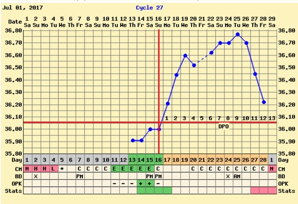 Thread 31, TTC1 | Jam and her dodgers still riding the bonking bus for that elusive BFP