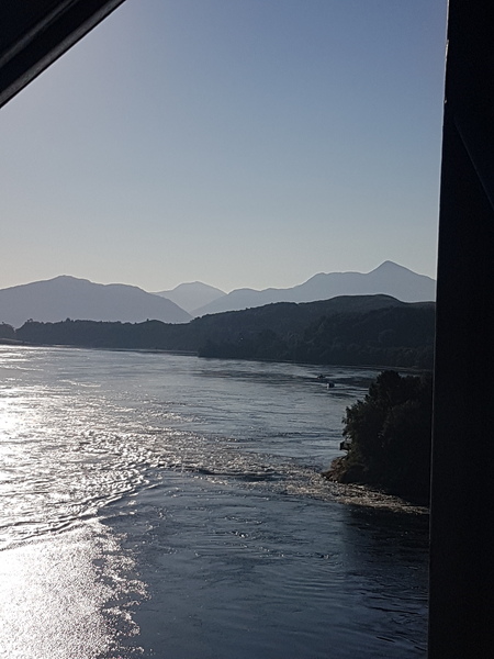 There's no-one quite like Yanma, I'm sure you will agree