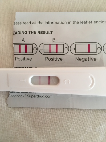 Jesus Christ someone tape my hands together - Prego Tests