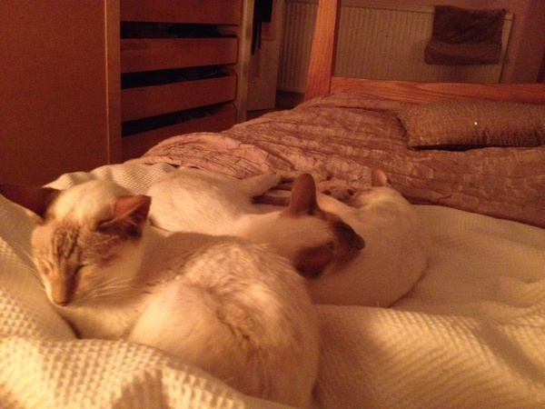 I seem to be picking Newboy up tonight......