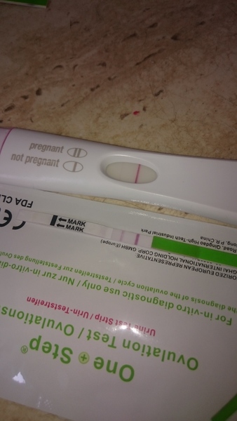 No period or pregnancy symptoms :/??