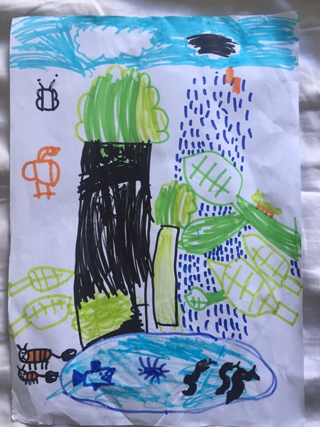Child aged 5-11 who loves drawing? Enter the BIC® competition