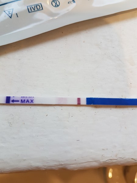 Bfp or bfn?