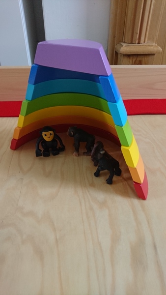 To think Grimms Rainbow is the wankiest toy?