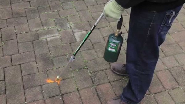 Pet/child safe but still effective weed killer