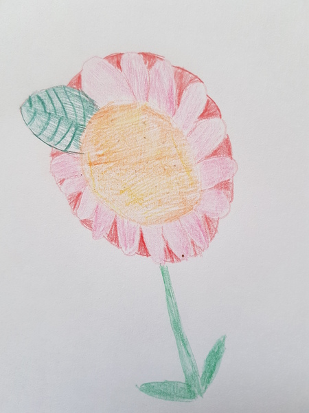Child aged 5-11 who loves drawing? Enter the BIC® competition