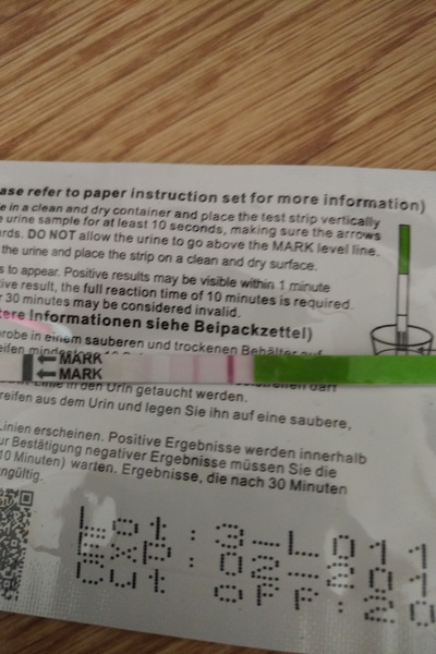 No period or pregnancy symptoms :/??