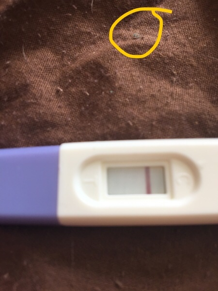 Is it just me or is there something there??