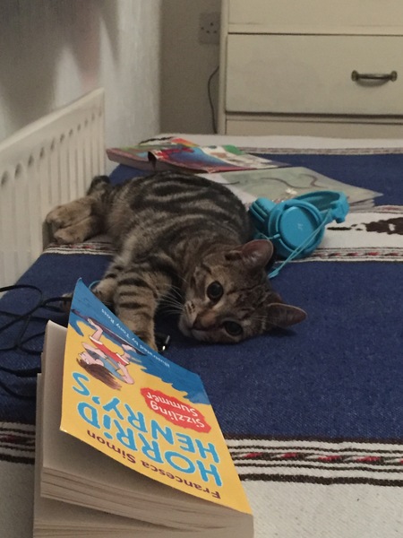 Week 8 - Summer Low Carb Bootcamp - two months almost done ...