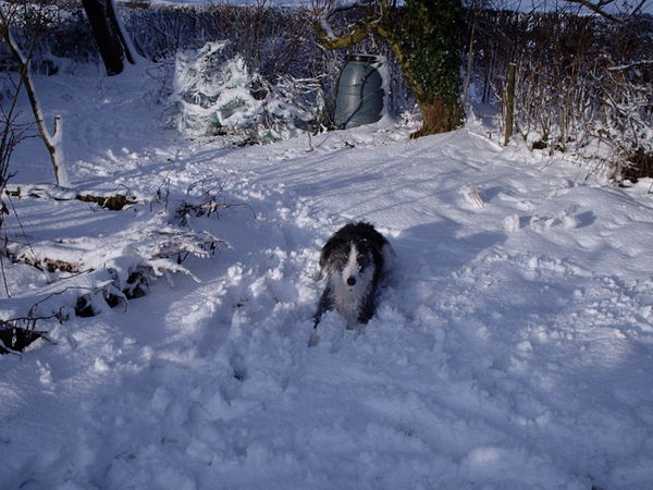 I have lost my lovely 'lurch'