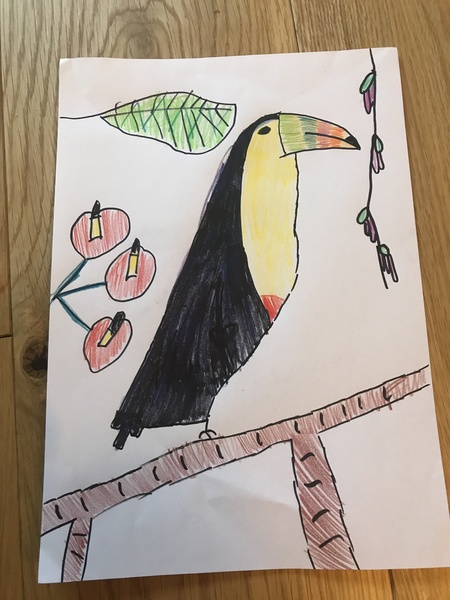 Child aged 5-11 who loves drawing? Enter the BIC® competition