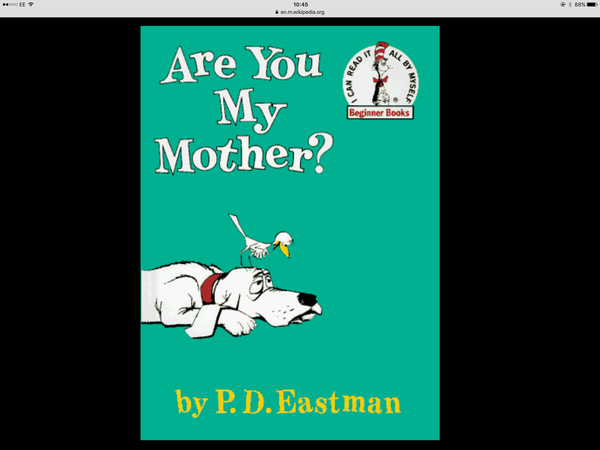 Good newborn baby bedtime books? Present from mummy to soon to be son