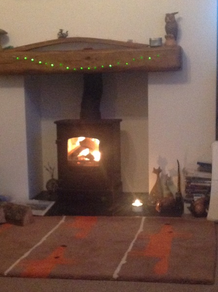 To think living rooms done have fires anymore?