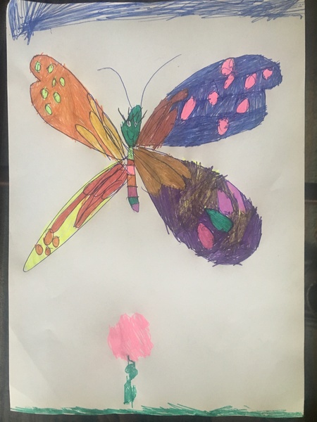Child aged 5-11 who loves drawing? Enter the BIC® competition