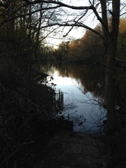 Photos taken on your cycle.