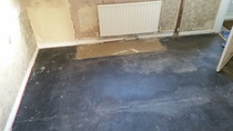 PigletJohn - I'm damp and need your help!